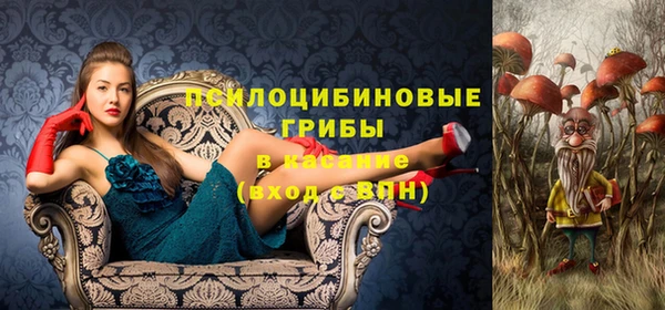 тгк Алзамай