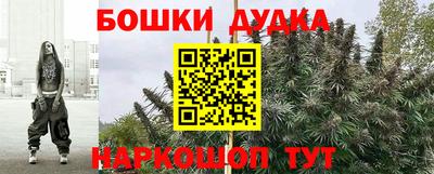 прущие грибы Конаково