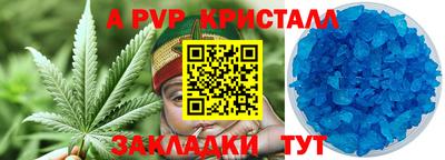 прущие грибы Конаково