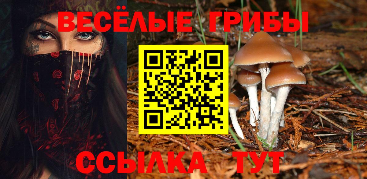 Псилоцибиновые грибы GOLDEN TEACHER Чебаркуль
